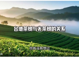 茶树的进化史诗：自然与人类共同书写的品种密码